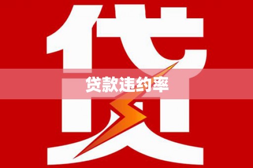 澄城贷款违约率
