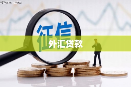 澄城外汇贷款