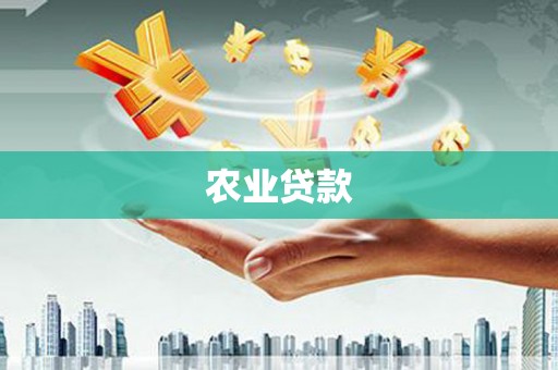 澄城农业贷款