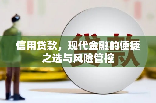 澄城信用贷款，现代金融的便捷之选与风险管控