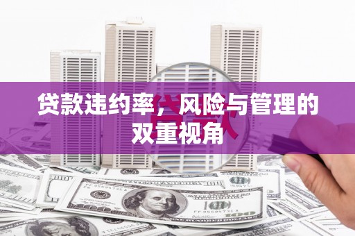 澄城贷款违约率，风险与管理的双重视角
