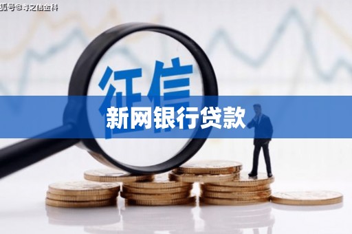 澄城新网银行贷款