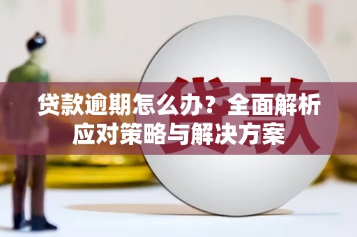 澄城贷款逾期怎么办？全面解析应对策略与解决方案