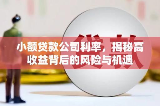 澄城小额贷款公司利率，揭秘高收益背后的风险与机遇