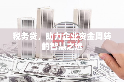 澄城税务贷，助力企业资金周转的智慧之选