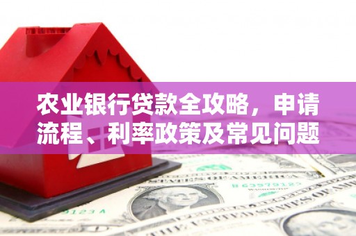 澄城农业银行贷款全攻略，申请流程、利率政策及常见问题解析
