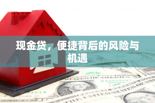 澄城现金贷，便捷背后的风险与机遇