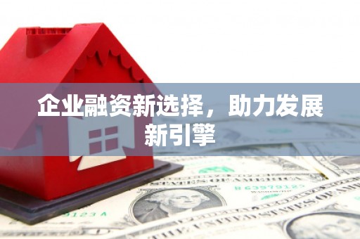 澄城企业融资新选择，助力发展新引擎