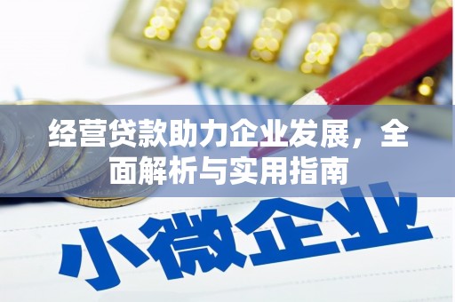 澄城经营贷款助力企业发展，全面解析与实用指南