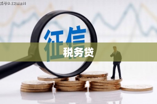 澄城税务贷