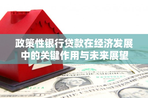 澄城政策性银行贷款在经济发展中的关键作用与未来展望