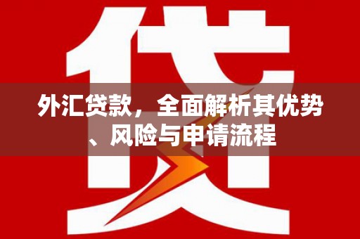 澄城外汇贷款，全面解析其优势、风险与申请流程