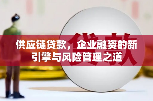 澄城供应链贷款，企业融资的新引擎与风险管理之道