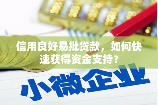 澄城信用良好易批贷款，如何快速获得资金支持？