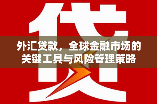 澄城外汇贷款，全球金融市场的关键工具与风险管理策略