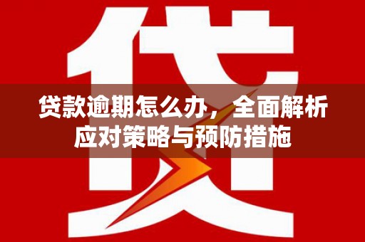 澄城贷款逾期怎么办，全面解析应对策略与预防措施