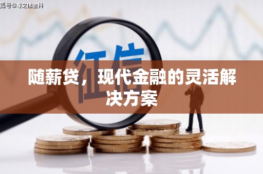 澄城随薪贷，现代金融的灵活解决方案