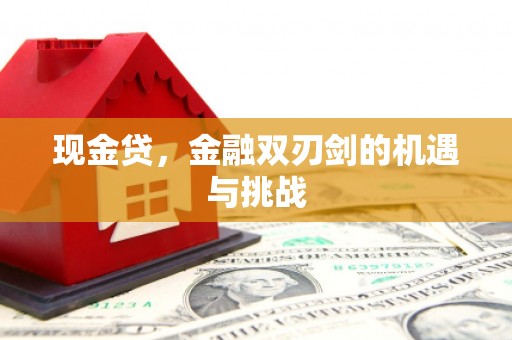 澄城现金贷，金融双刃剑的机遇与挑战