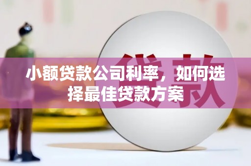 澄城小额贷款公司利率，如何选择最佳贷款方案