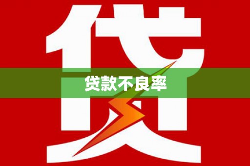 澄城贷款不良率