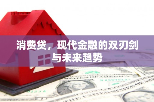 澄城消费贷，现代金融的双刃剑与未来趋势
