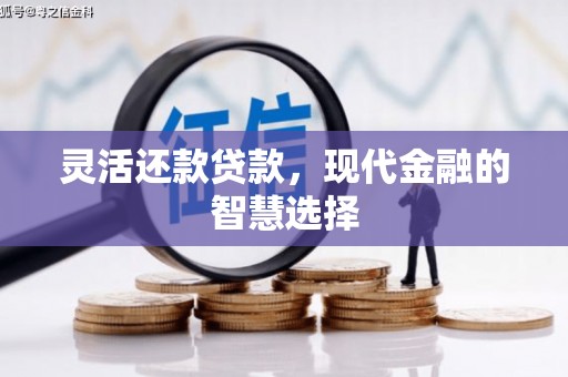 澄城灵活还款贷款，现代金融的智慧选择