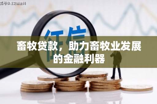 澄城畜牧贷款，助力畜牧业发展的金融利器