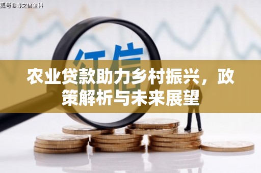 澄城农业贷款助力乡村振兴，政策解析与未来展望
