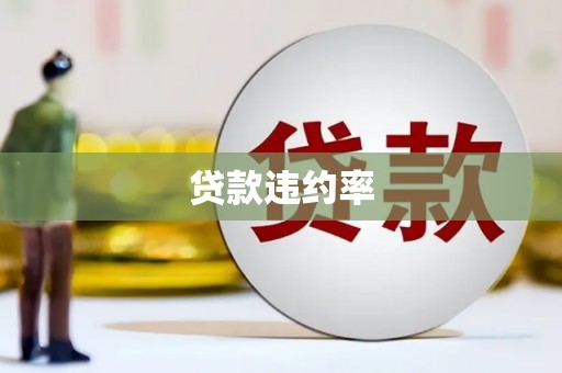 澄城贷款违约率