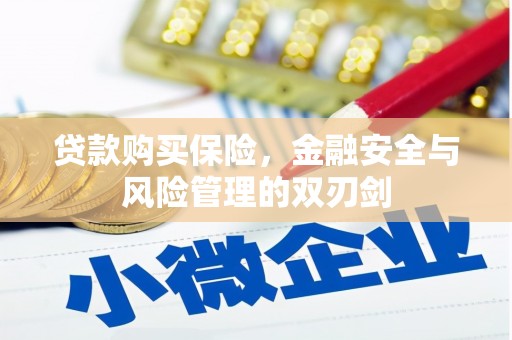 澄城贷款购买保险，金融安全与风险管理的双刃剑