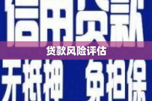 澄城贷款风险评估