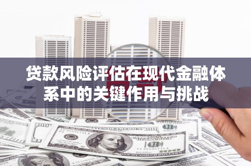 澄城贷款风险评估在现代金融体系中的关键作用与挑战