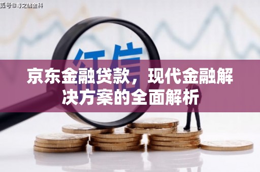 澄城京东金融贷款，现代金融解决方案的全面解析