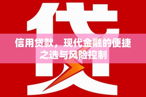 澄城信用贷款，现代金融的便捷之选与风险控制