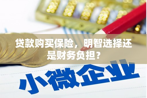 澄城贷款购买保险，明智选择还是财务负担？