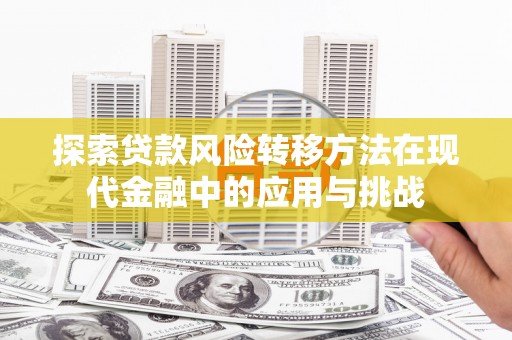 澄城探索贷款风险转移方法在现代金融中的应用与挑战