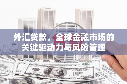 澄城外汇贷款，全球金融市场的关键驱动力与风险管理