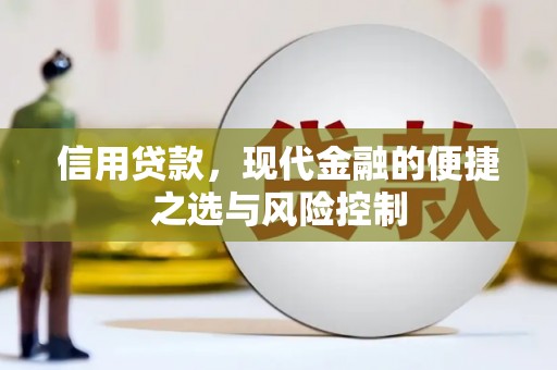 澄城信用贷款，现代金融的便捷之选与风险控制