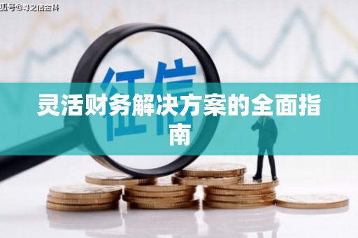 澄城灵活财务解决方案的全面指南