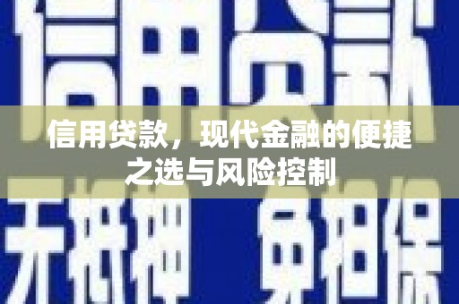 澄城信用贷款，现代金融的便捷之选与风险控制