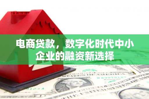澄城电商贷款，数字化时代中小企业的融资新选择