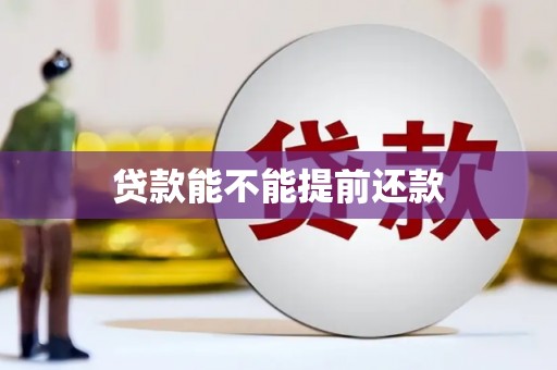 澄城贷款能不能提前还款