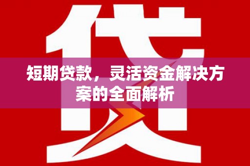 澄城短期贷款，灵活资金解决方案的全面解析