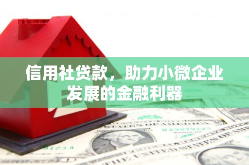 澄城信用社贷款，助力小微企业发展的金融利器