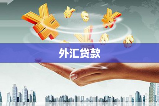 澄城外汇贷款