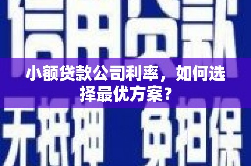 澄城小额贷款公司利率，如何选择最优方案？