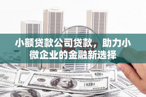 澄城小额贷款公司贷款，助力小微企业的金融新选择