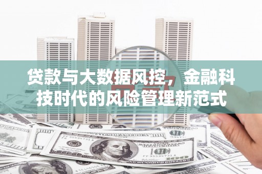 澄城贷款与大数据风控，金融科技时代的风险管理新范式