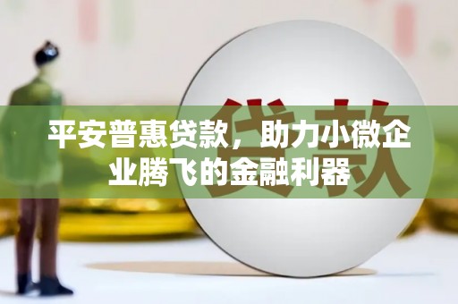 澄城平安普惠贷款，助力小微企业腾飞的金融利器