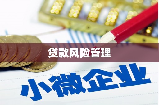 澄城贷款风险管理